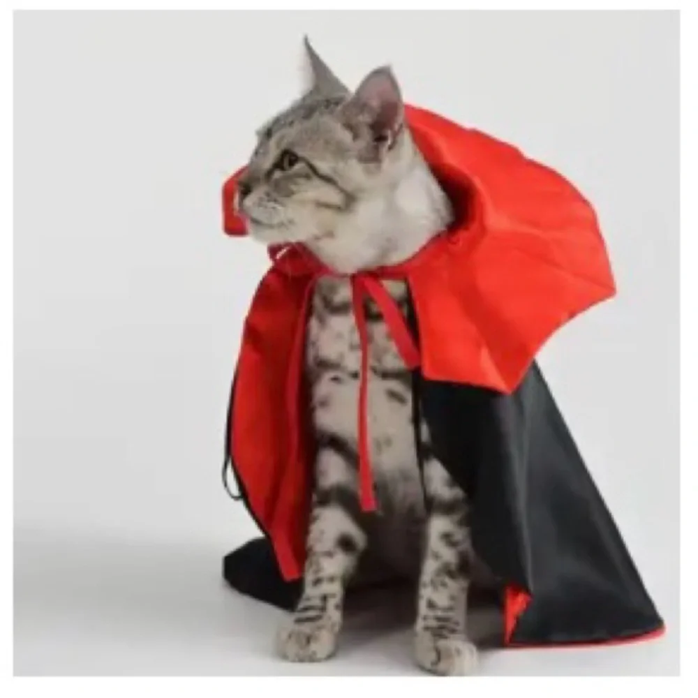 NWOT Vampire Pet Costume - Red and Black